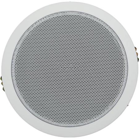 RY-106定壓揚(yáng)聲器音響