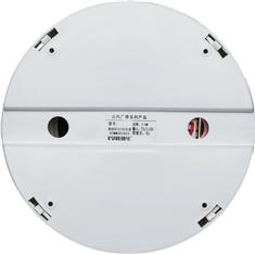 RY-111定壓揚(yáng)聲器音響